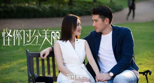 娱乐圈全员 爆料 小说,全员爆料背后的秘密与真相 第3张 娱乐圈全员 爆料 小说,全员爆料背后的秘密与真相 第3张