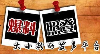 重庆贾先生最新爆料,揭秘背后惊人真相  第3张