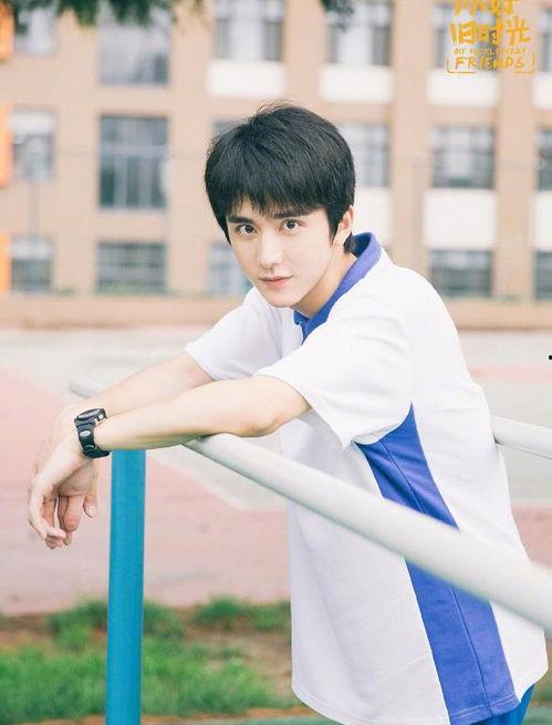 娱乐圈吃瓜爆料张新成,揭秘背后的真相与争议  第1张